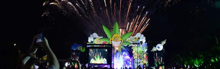 Plantão Festival 2024