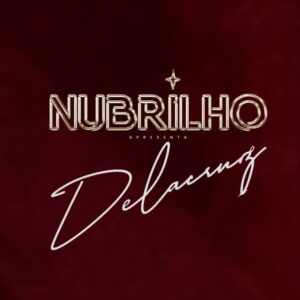Logo da Festa NuBrilho
